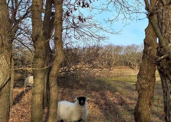Bijzonder Bakkum
